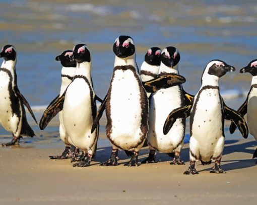 A Waddle Of African Penguins Paint by Numbers