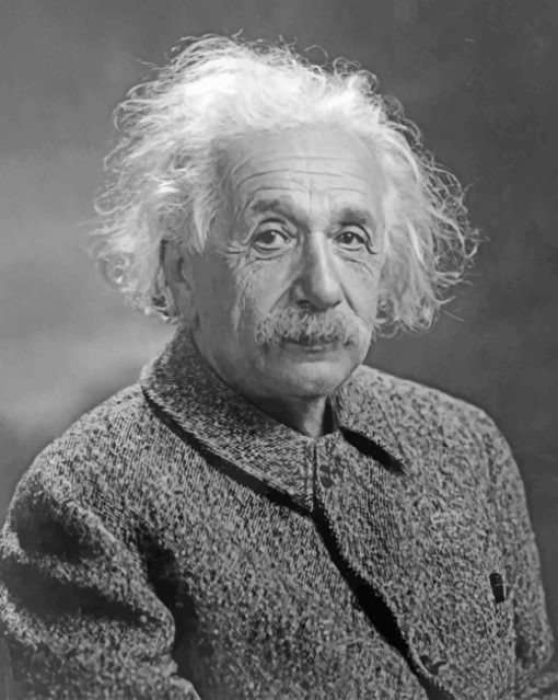 Albert Einstein Black And White paint by numbers
