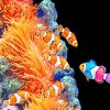 Aquarium Clown Fish paint by numbers