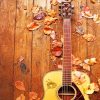 Autumn Guitar paint by numbers