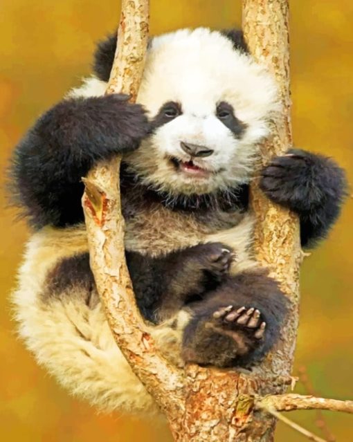 Baby Panda On Tree painting by numbers