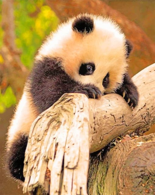 Baby Panda On Tree paint by numbers