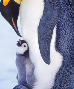 Baby Penguin On Feet painting by numbers