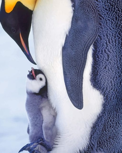 Baby Penguin On Feet painting by numbers