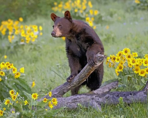 Bear Running With A Stick paint by numbers