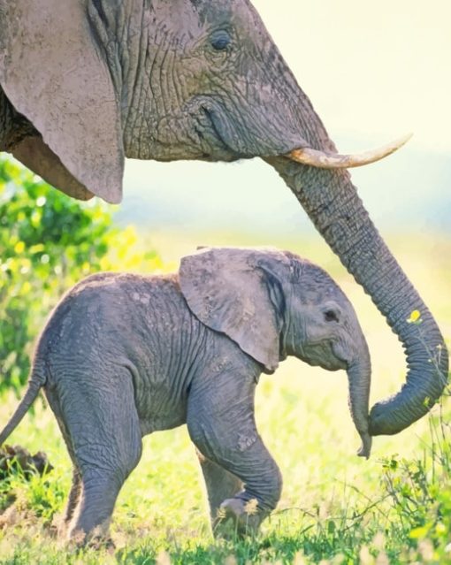 Beautiful Elephant With Baby painting by numbers