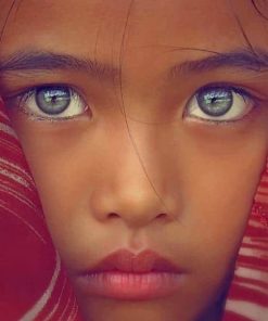 Beautiful Eyes Portrait painting by numbers