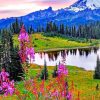 Mount Rainier National Park painting by numbers