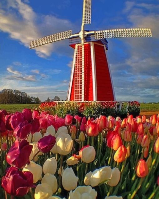 Colorful Tulips In Holland painting by numbers