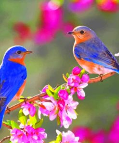 Bright Colorful Birds And Flowers paint by numbers