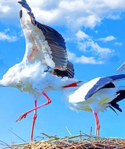 White Storks In The Nest paint by numbers
