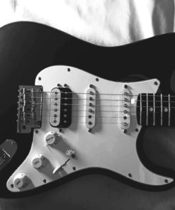 Black And White Electric Guitar paint by numbers