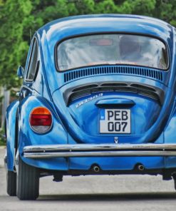 Blue Beetle From Behind paint by numbers