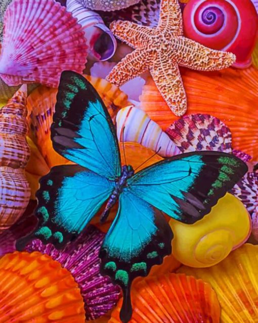 Blue Butterfly Among Sea Shells painting by numbers
