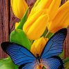 Blue Butterfly On Yellow Tuplis painting by numbers