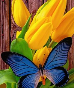 Blue Butterfly On Yellow Tuplis painting by numbers