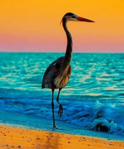 Blue Heron At Sunset paint by numbers