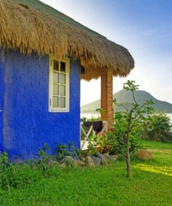 Blue Hay Roofing House paint by numbers
