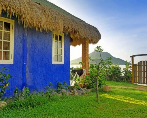 Blue Hay Roofing House paint by numbers