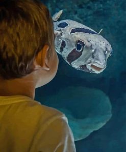 Little Kid Looking To The Fish painting by numbers