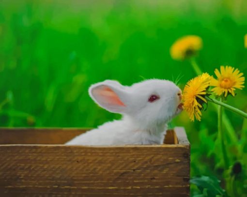 White Bunny Smelling Flowers paint by numbers
