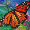 Bright Orange Butterfly paint by numbers