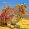 Camel Laying Near The Pyramids paint by numbers