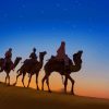 Silhouette Of Desert Camels paint by numbers