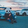 Panda Mask And Two Cars paint by numbers