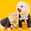 Cat And Dog Wearing Same Clothes painting by numbers