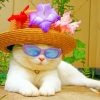Cat In Summer Hat paint by numbers