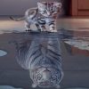 Cat Reflection painting by numbers