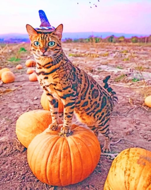 Cat On Pumpkin paint by numbers