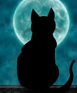 Cat On The Moonlight painting by numbers
