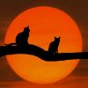 Moonlight Cats painting by numbers