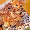 Cheetah Cub With Mum painting by numbers