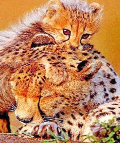 Cheetah Cub With Mum painting by numbers