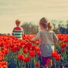 Children In A Tulip Field paint by numbers