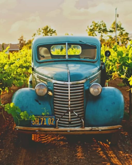 Classic Blue Vehicle Between Vineyard painting by numbers