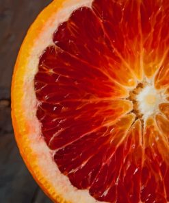 blood orange color pencil drawing painting by numbers