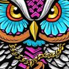 Colorful Owl Design paint by numbers