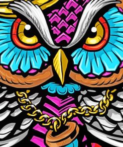 Colorful Owl Design paint by numbers
