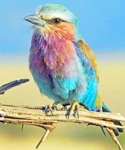 Colorful Bird On A twig paint by numbers