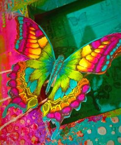 Colorful Butterfly painting by numbers