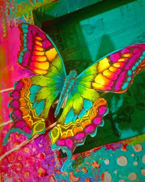 Colorful Butterfly painting by numbers