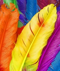 Diverse Colorful Feathers paint by numbers