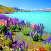 Colorful Flowers On The Coast paint by numbers