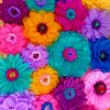 Rainbow Flowers painting by numbers