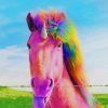 Rainbow Horse painting by numbers