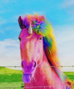 Rainbow Horse painting by numbers